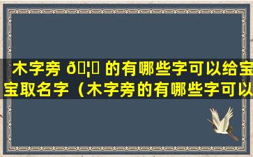 木字旁 🦋 的有哪些字可以给宝宝取名字（木字旁的有哪些字可以给宝宝取名字男孩）